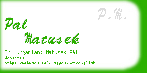 pal matusek business card